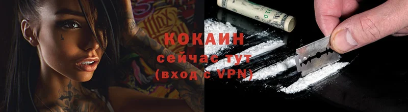 продажа наркотиков  Железногорск-Илимский  Cocaine Боливия 